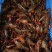 龙虾13~15只/kg