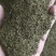 蒲公英种子2020年产新上市