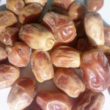 椰枣特级干枣