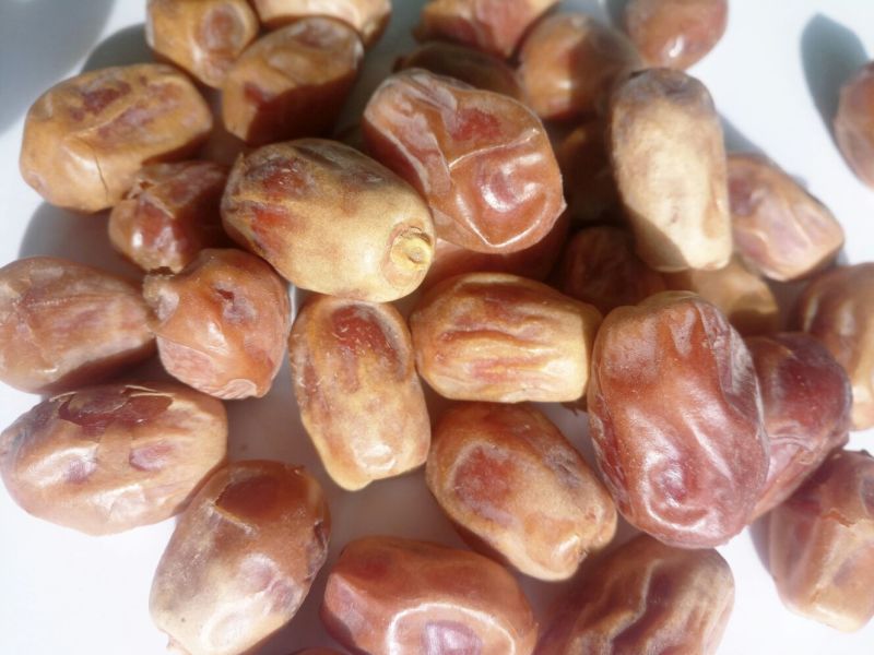 椰枣特级干枣