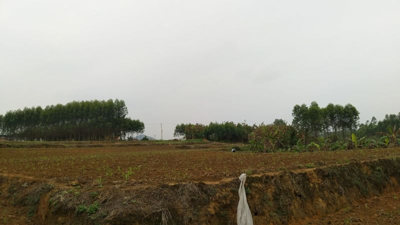 荒地出租10~30年101~1000亩
