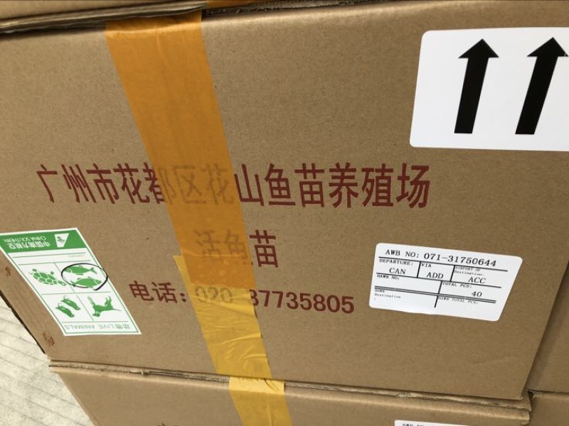 优鲈1号