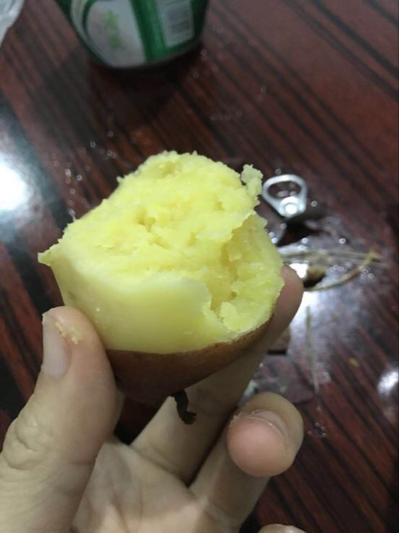 桥头地瓜1两以上通货黄心