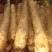 淮山药4~6厘米特级通货50~70厘米