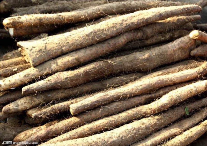 淮山药3~4厘米一级通货30~100厘米