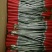 蒜薹刀