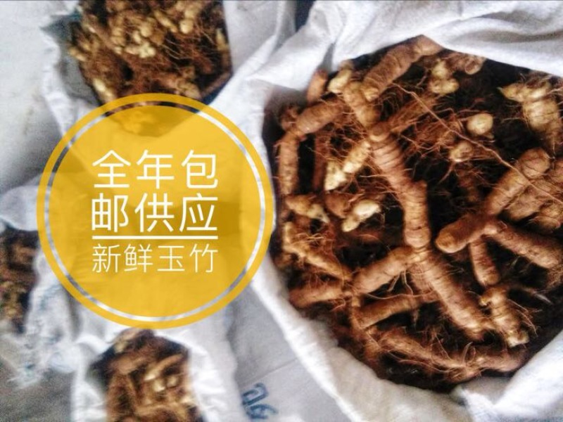 《畅销》广东玉竹条不含农药基地直发对接全国欢迎下单