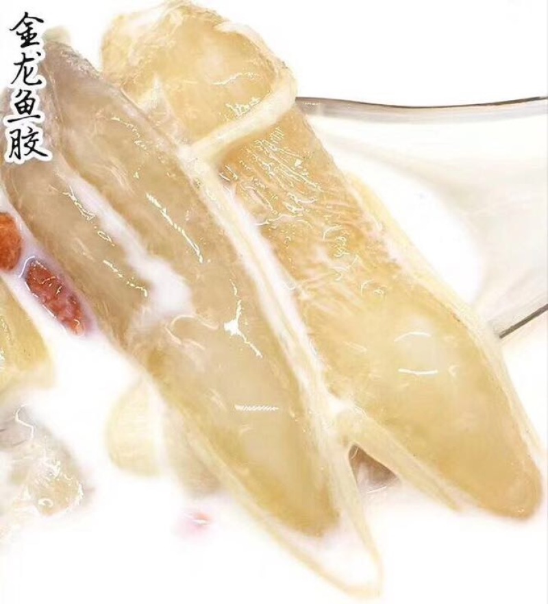 花胶陈年老金龙胶