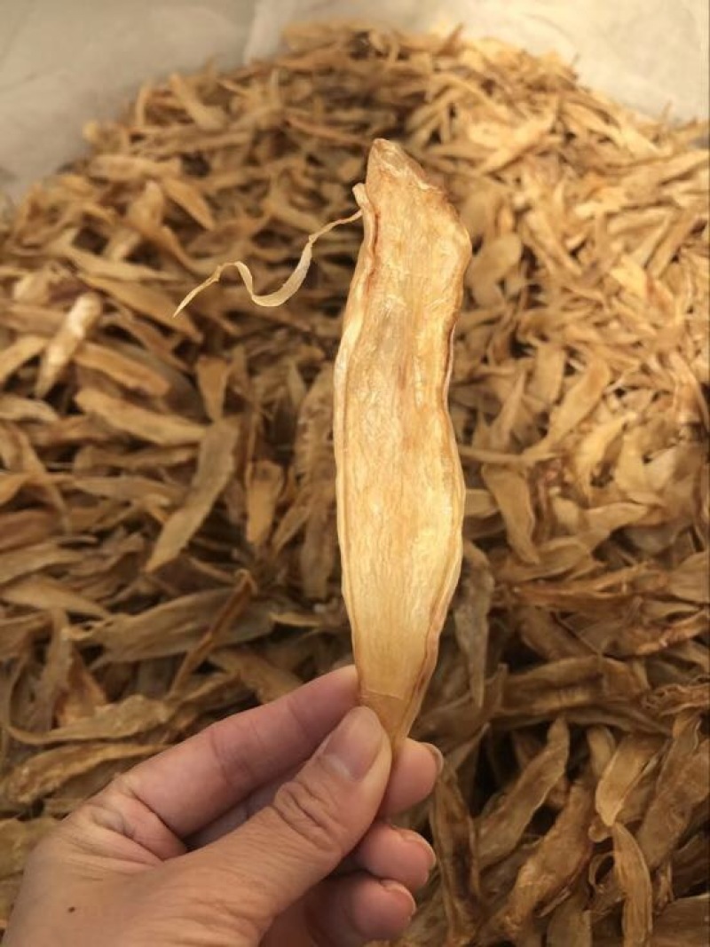 花胶陈年老金龙胶