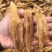 花胶陈年老金龙胶