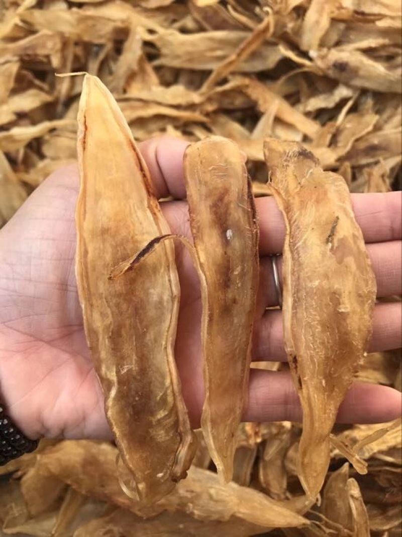 花胶陈年老金龙胶