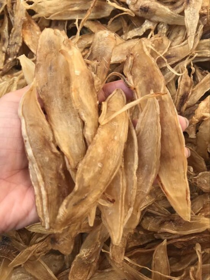 花胶陈年老金龙胶