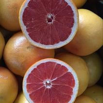 葡萄柚0.5~1斤