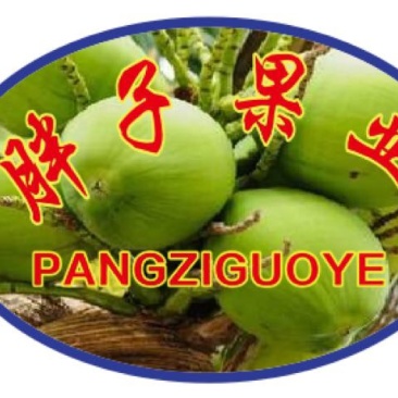 椰子2.5~3斤