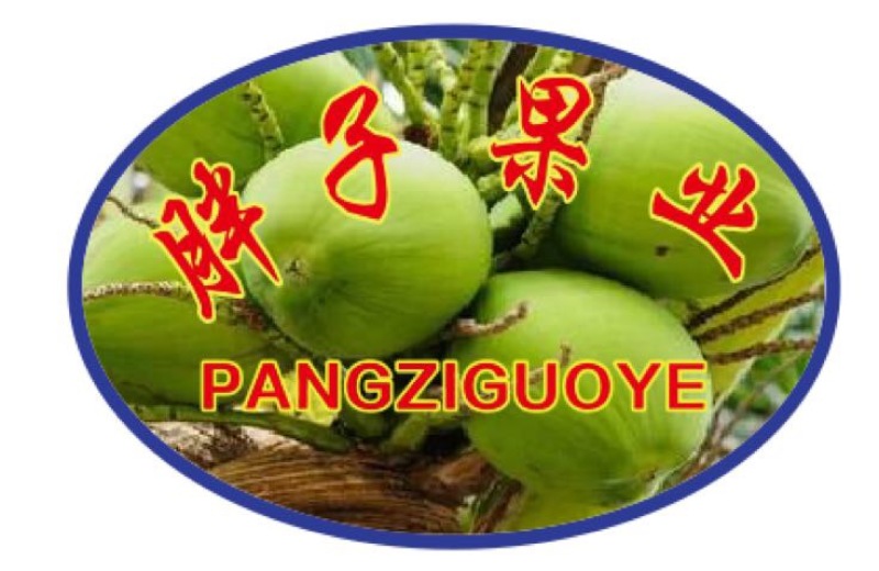 椰子2.5~3斤