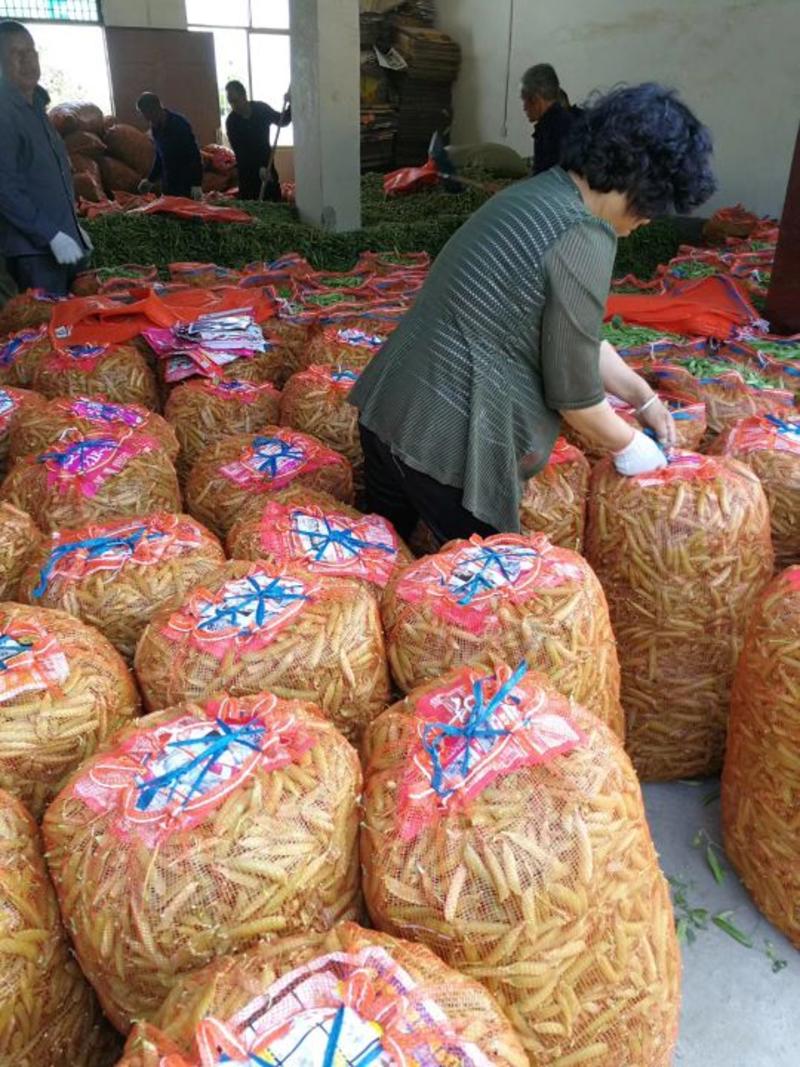大量供应优质豌豆包装袋