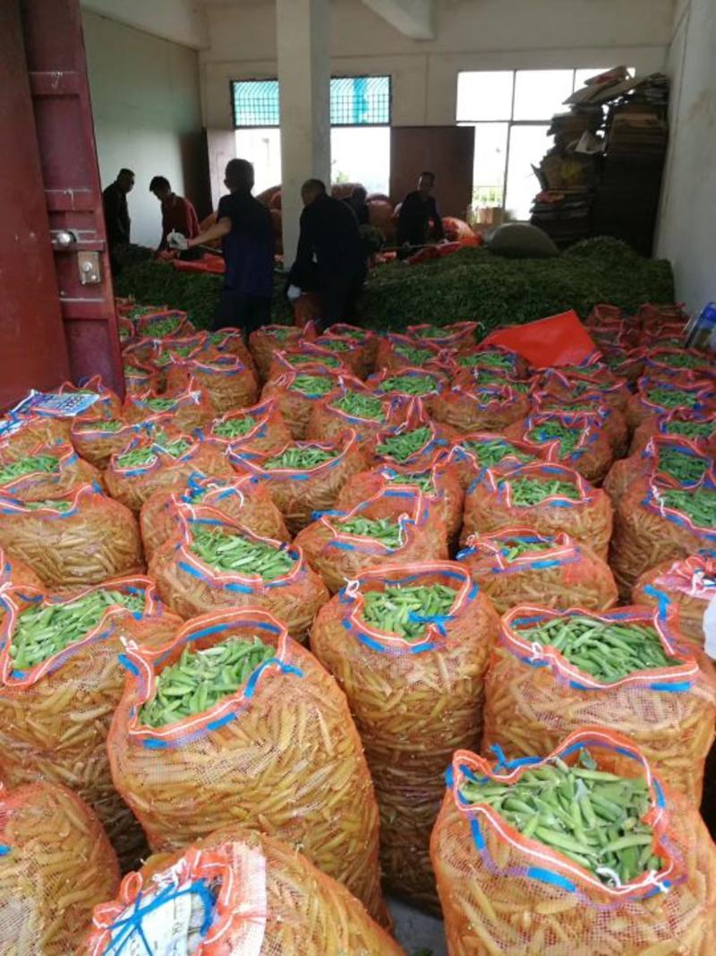 大量供应优质豌豆包装袋
