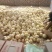 新乐市二零甜瓜4月份大量上市需要的联系我随到随装车