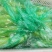 绿皮西葫芦0.6斤以上