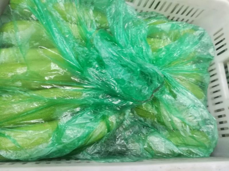 绿皮西葫芦0.6斤以上