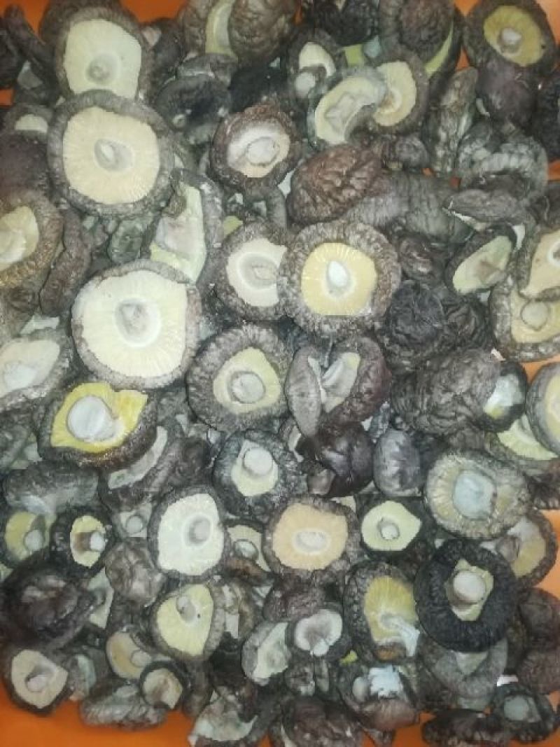 茶花香菇，秋栽菇，春栽菇2.5一3.5cm口感好，质量保证
