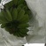 苹果蕉九成熟