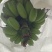 苹果蕉九成熟