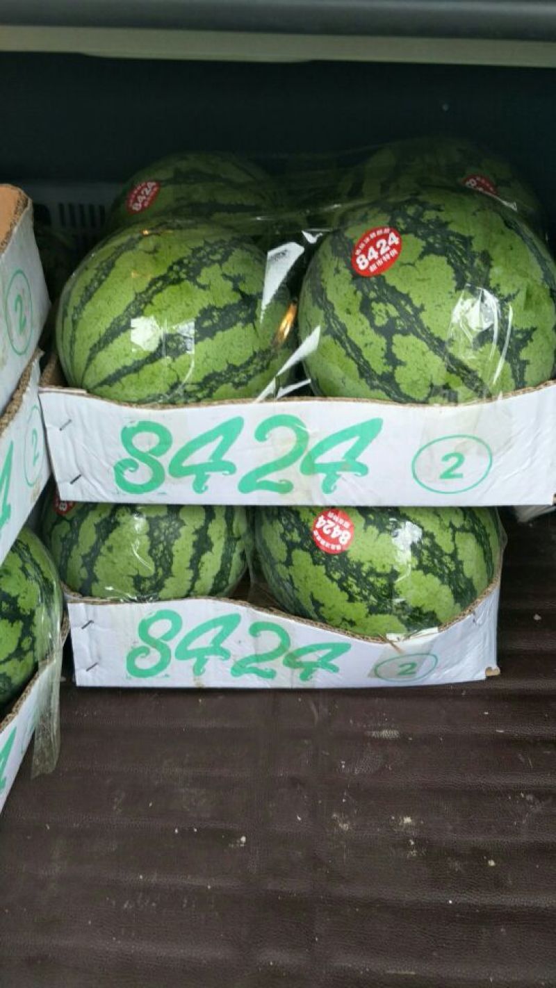 西瓜5斤打底8.5成熟1茬