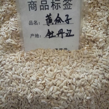 中药材黄瓜子散装熟