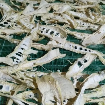 甜苦笋干片