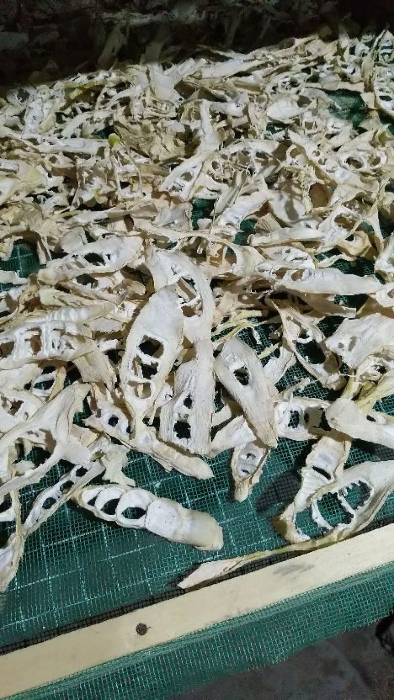甜苦笋干片