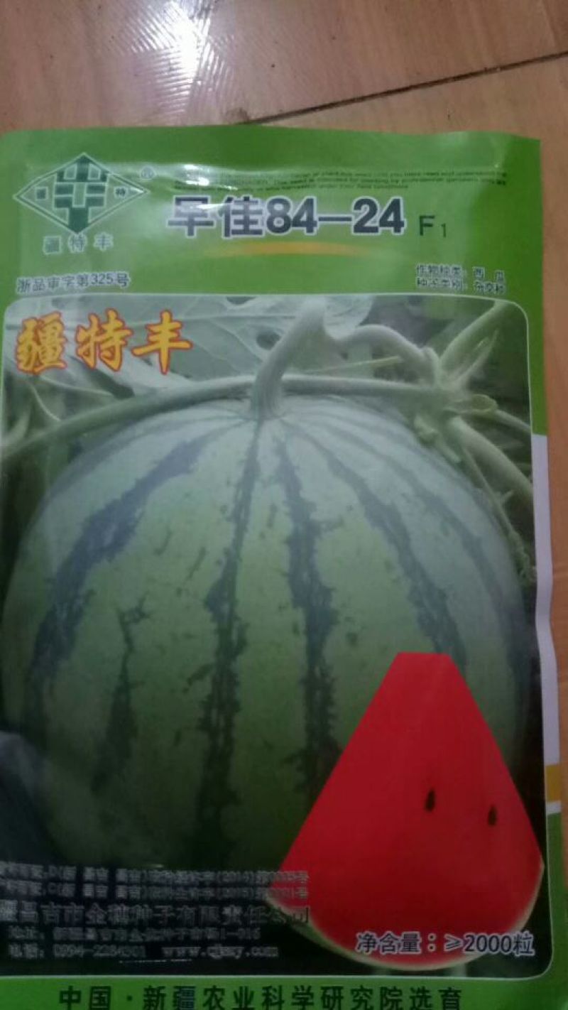 嫁接西瓜苗95%以上