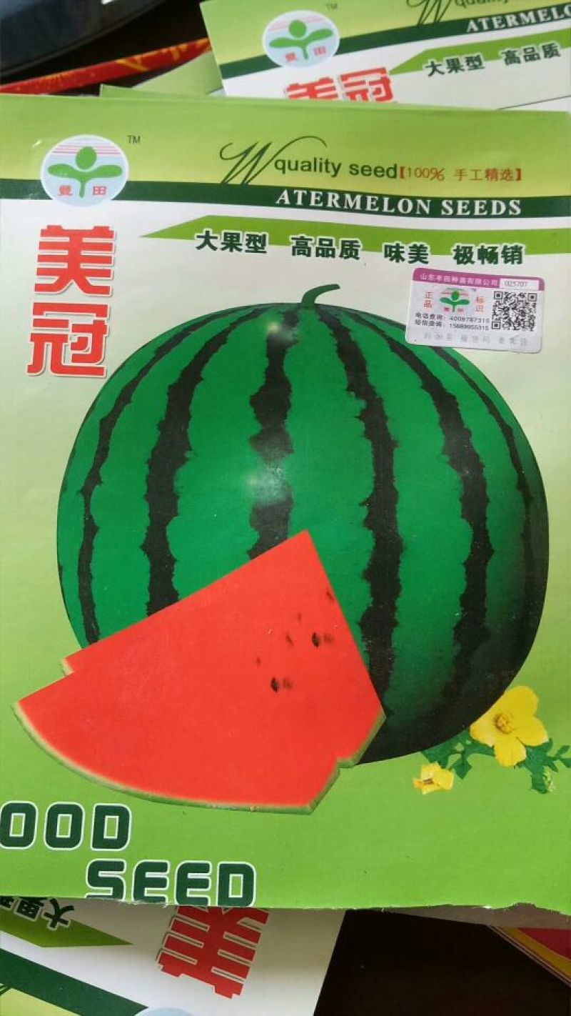 嫁接西瓜苗95%以上