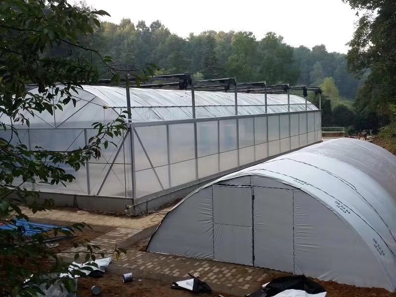 黑水虻以色列环保项目招商