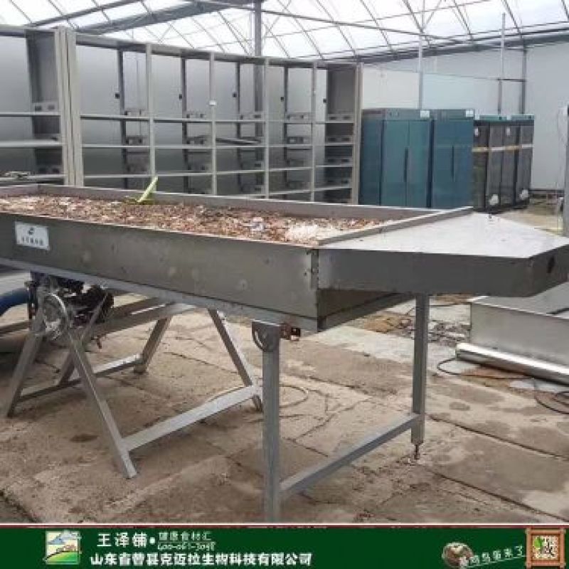 黑水虻以色列环保项目招商