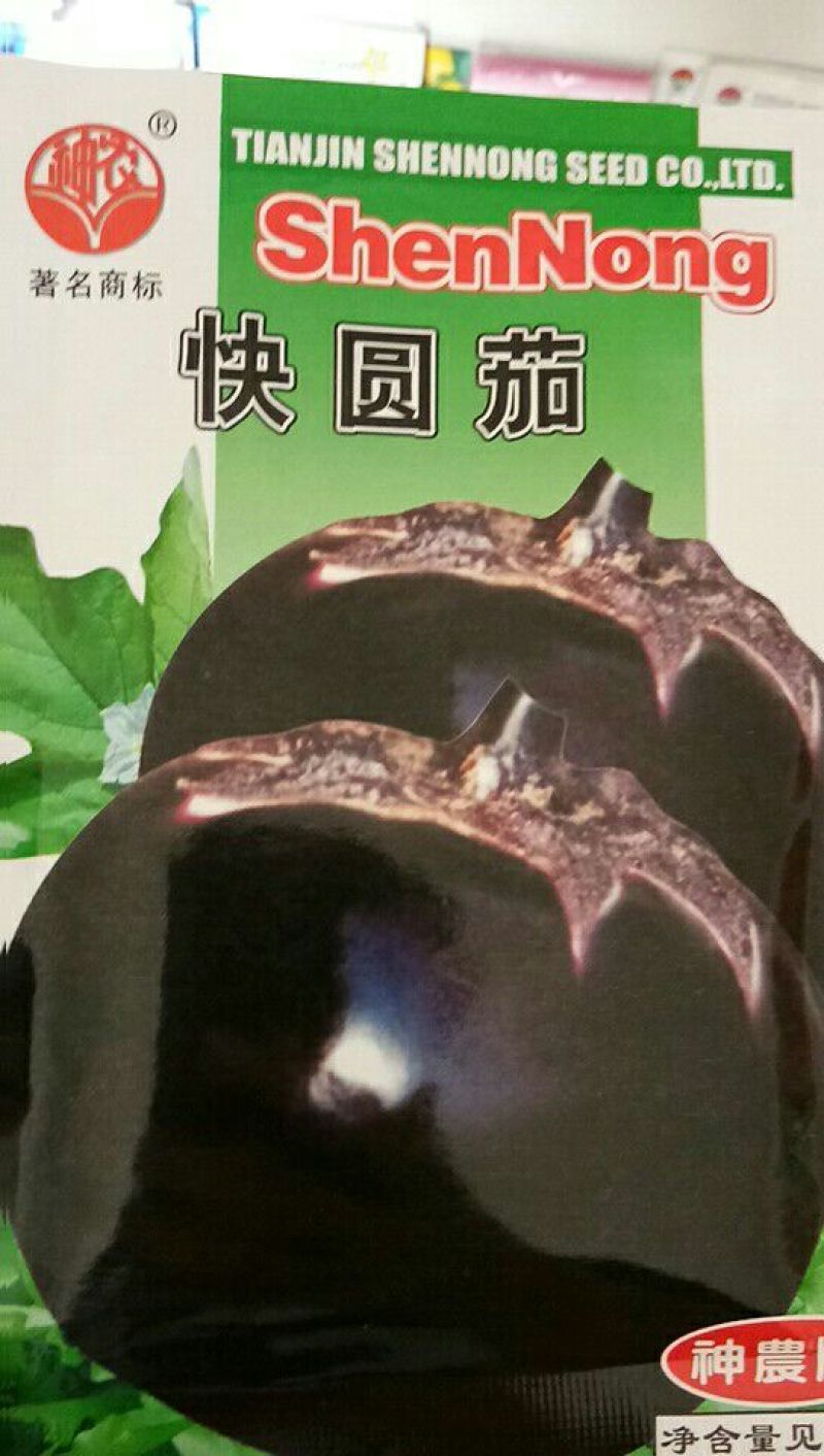 茄子苗