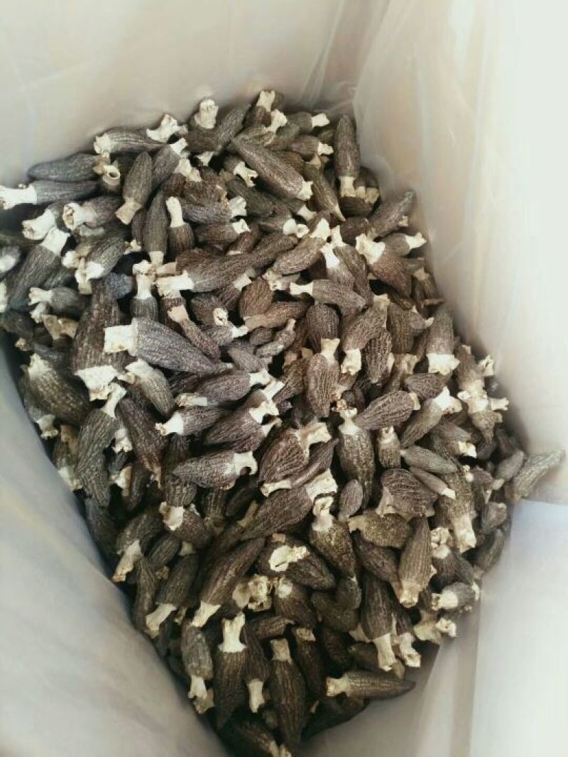 羊肚菌一级品