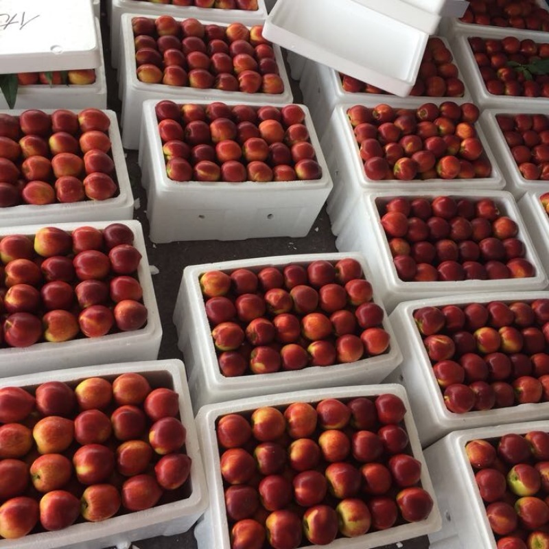 油桃3两以上