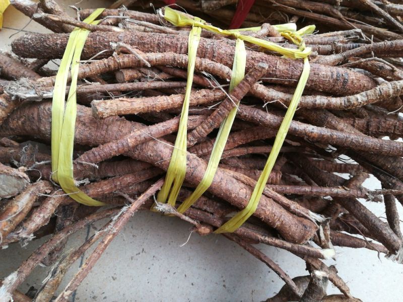 野生牛大力根阴枝统货