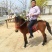 矮马100~200kg