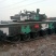 矮马100~200kg
