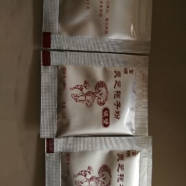 灵芝孢子粉8公分以下