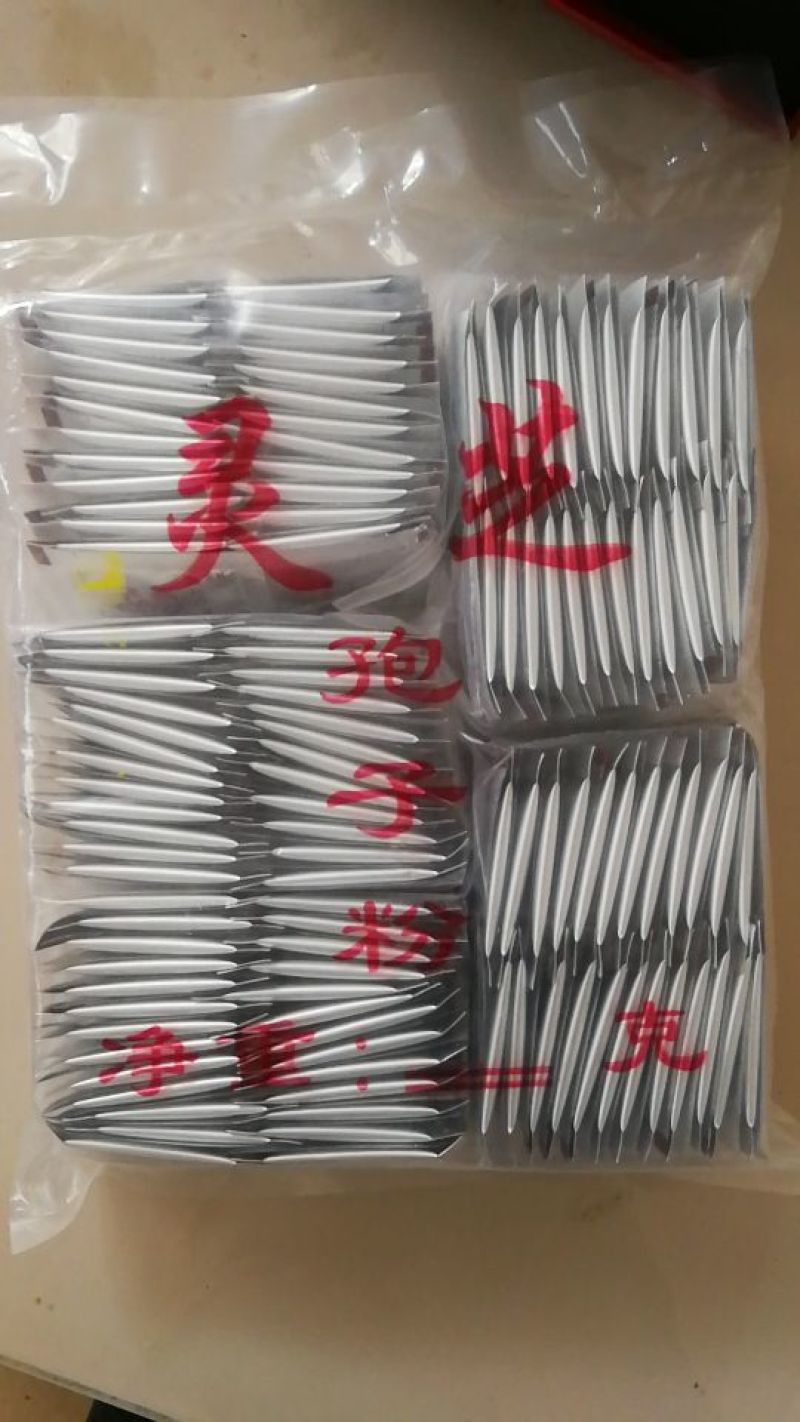 灵芝孢子粉8公分以下