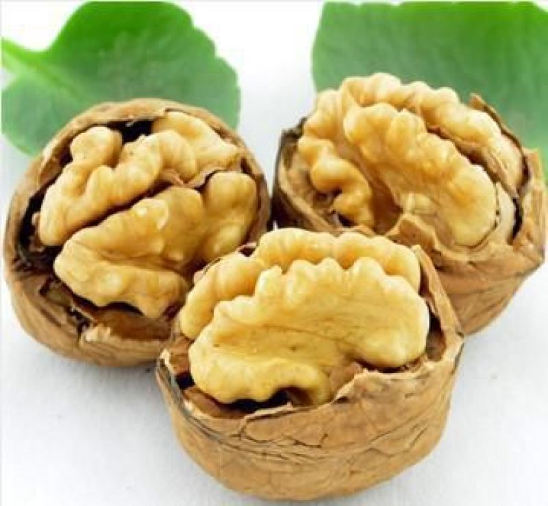 核桃30~35mm去皮干