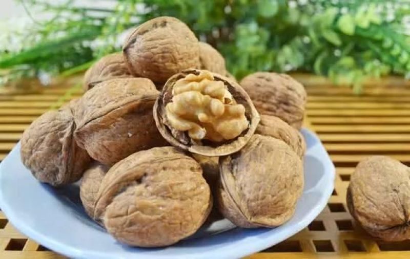 核桃30~35mm去皮干
