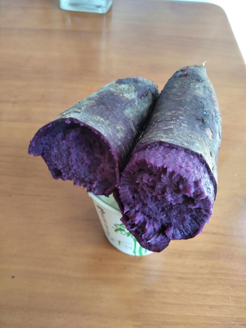 紫薯苗15~25cm