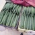 密刺黄瓜22~25公分鲜花带刺