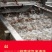 小龙虾稻田套养5-7钱（25-35克）冻虾