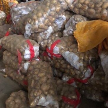 中薯5号土豆精品2两以上