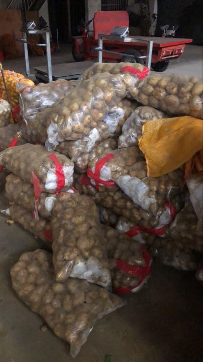 中薯5号土豆精品2两以上